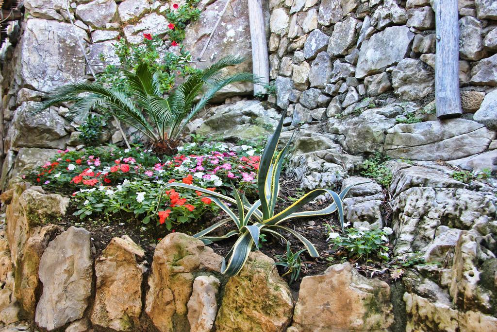 Casarufolo Paradise Σορέντο Εξωτερικό φωτογραφία